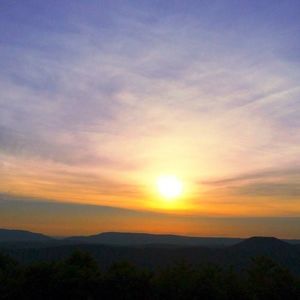 Meet your Posher, Sue